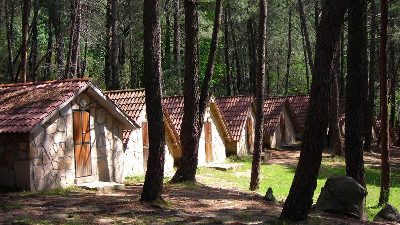 campamentos-de-verano-el-pinar-de-piedralaves-21